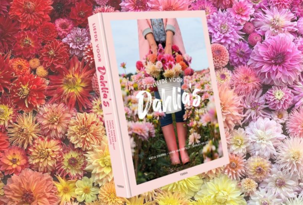 Unser Buch 'The Joy of Dahlias' kommt!