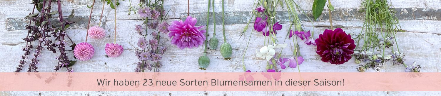 Blumensamen Blumensamen
