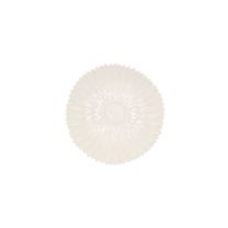 Daisy White M