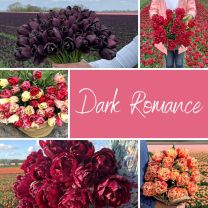 Mix Dark Romance