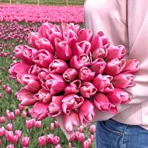 Tulip Milkshake