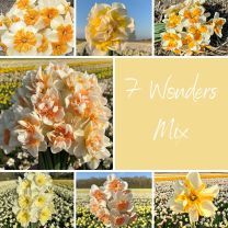 Mix 7 Wonders