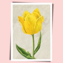 Tulip Mon Trésor
