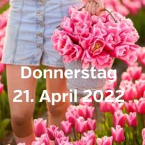 Besuch Tulpenfelder 21 April 2022