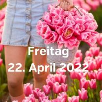 Besuch Tulpenfelder 22 april 2022