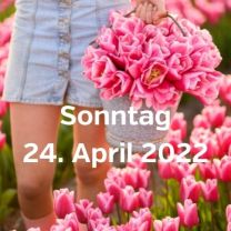 Besuch Tulpenfeldern 24 april 2022