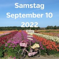 Besuch Dahlienfelder 10 September 2022