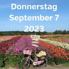 Besuch Dahlienfeldern 7 September 2023