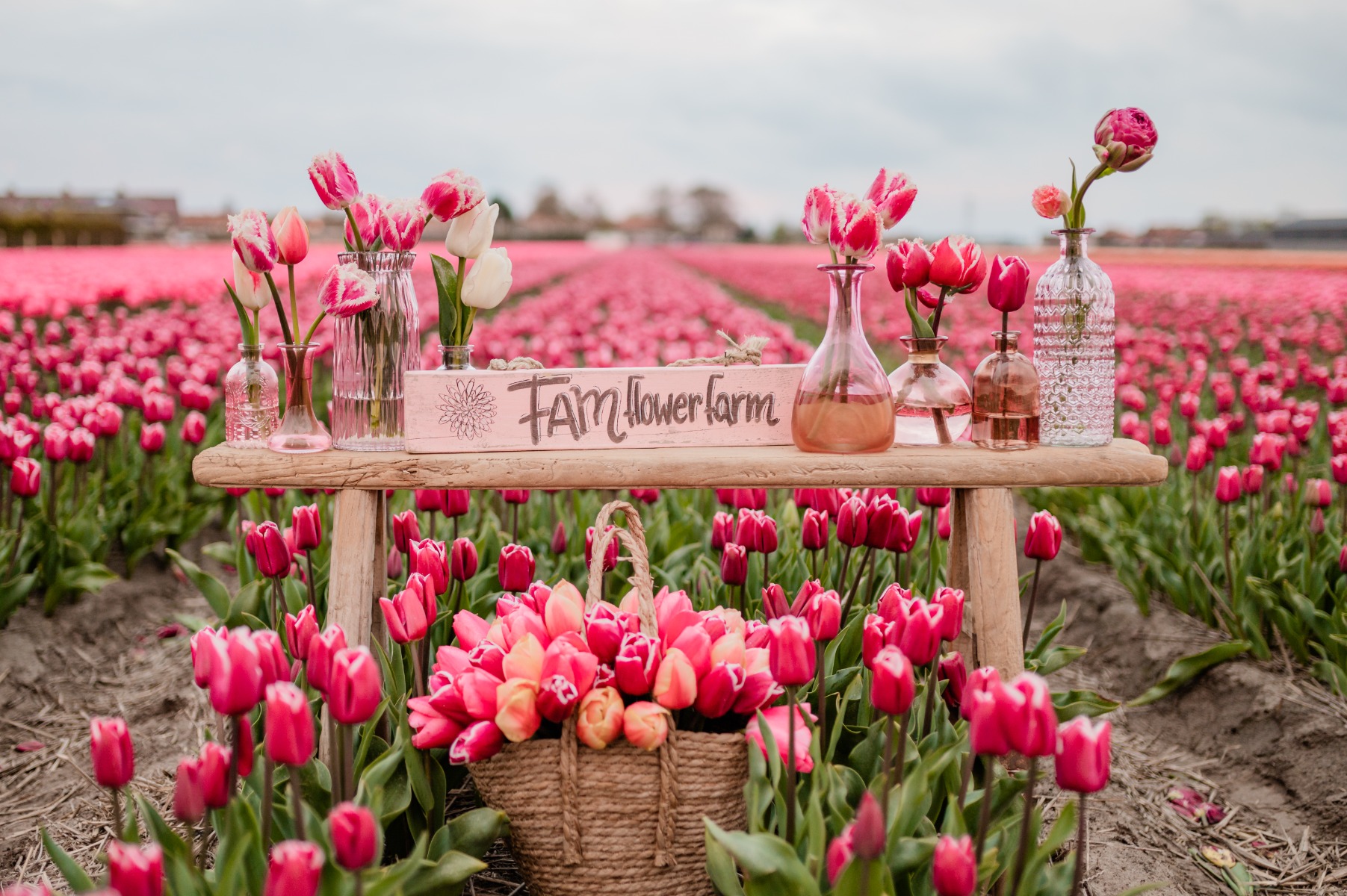 Tulpenzwiebeln