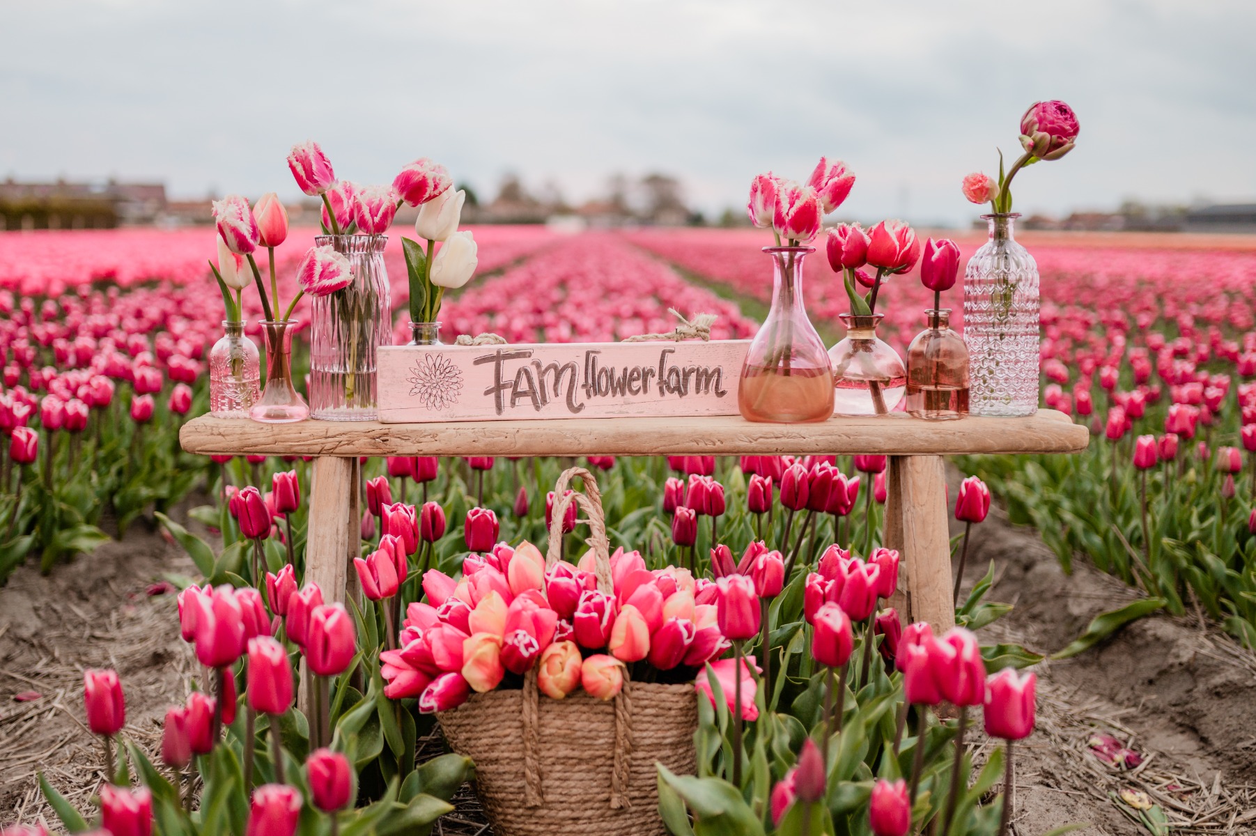 tulpenzwiebeln