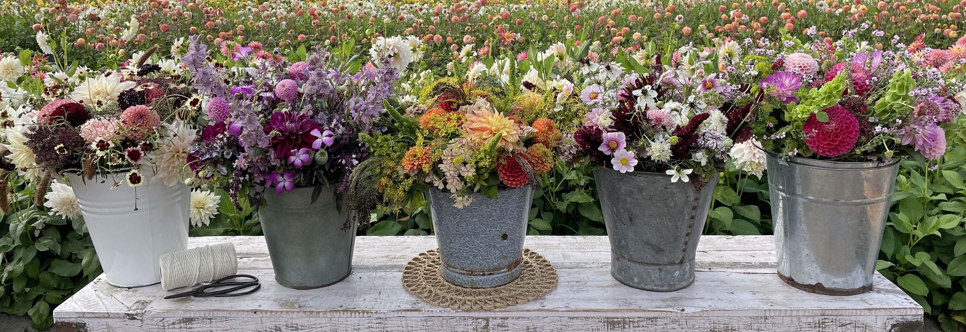 Schnittblumen Blumensamen