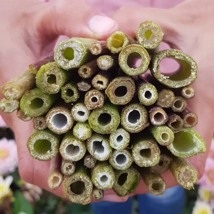 Insektenhotel