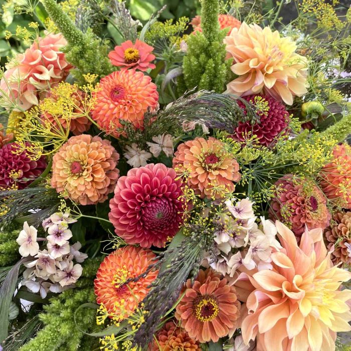 Mix Sunset Orange - flowerseeds + dahlias