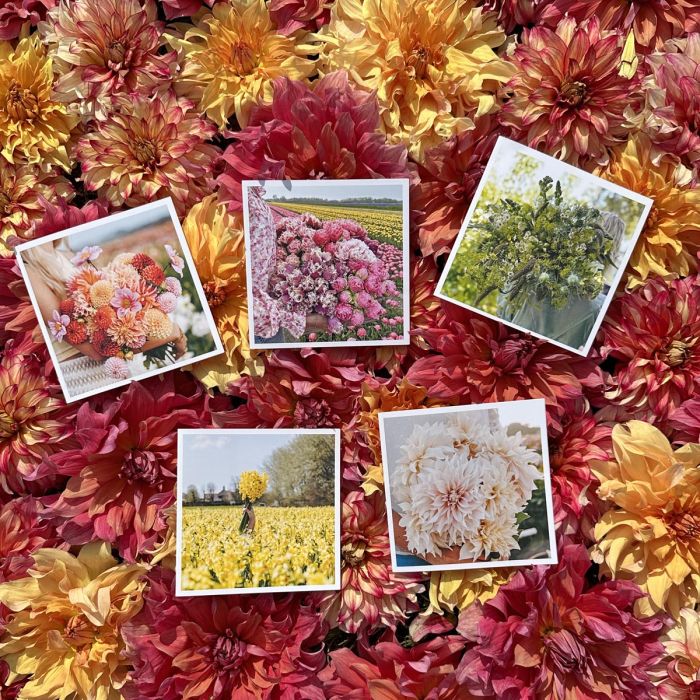 Set of 5 gift cards