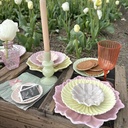 Daisy green S