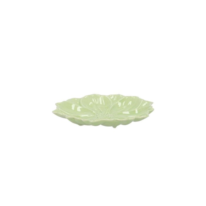 Cosmea green S