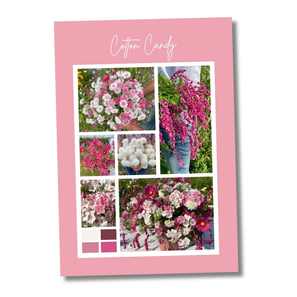 Mix Cotton Candy 5x flowerseeds