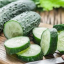 Komkommer Dasher