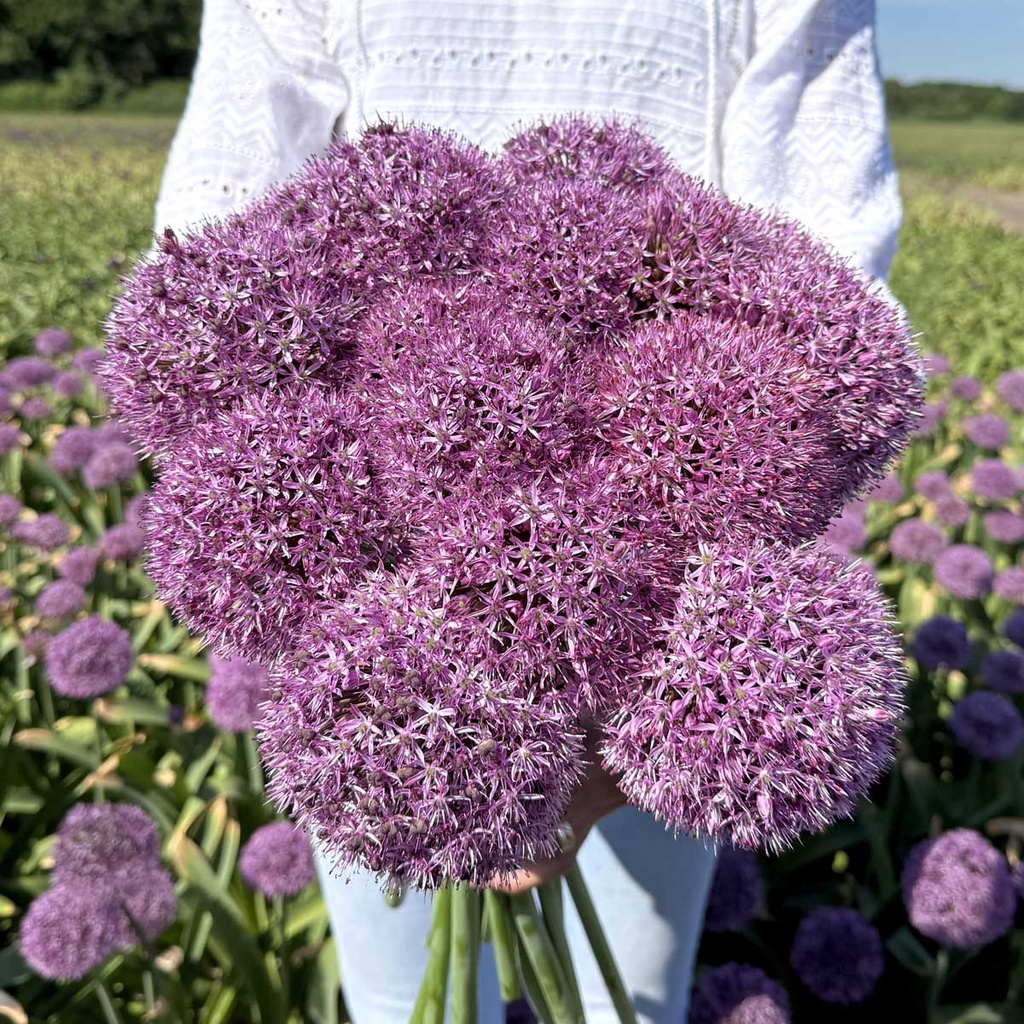 Allium Party Balloon