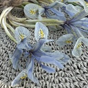 Iris Katharine Hodgkin