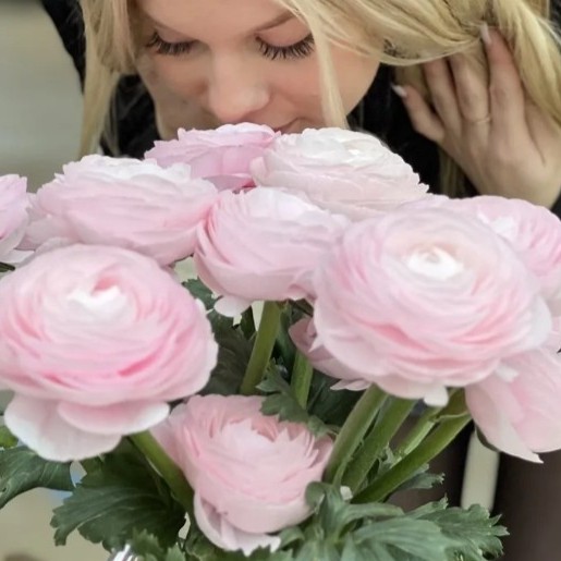 Ranonkels Cloni Succes Lady®