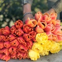 Mix Happy Sunshine