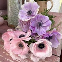 Mistral Plus Rarity & Rosa Chiaro