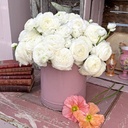 Ranonkels Elegance Bianco®