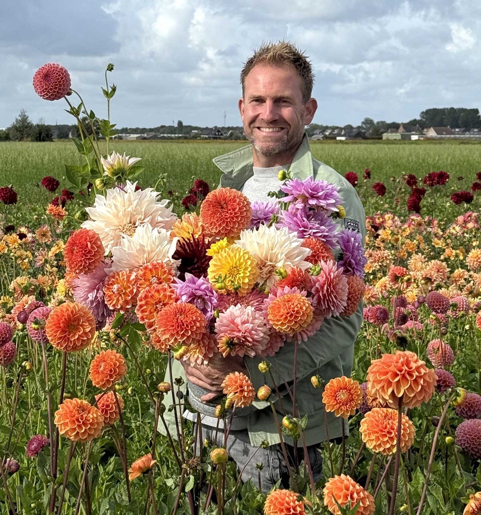 Mix Boer Tom's favoriete dahlia's