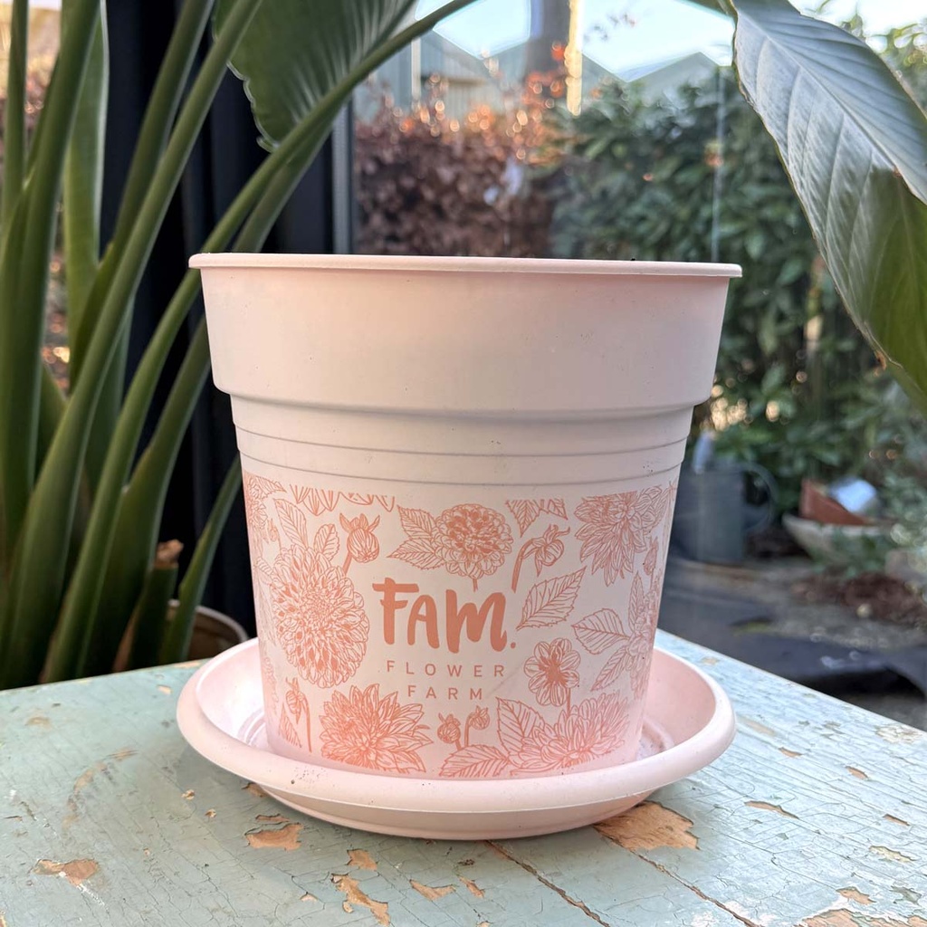 FAM plantenpot + schotel voor dahlia's - set van 5