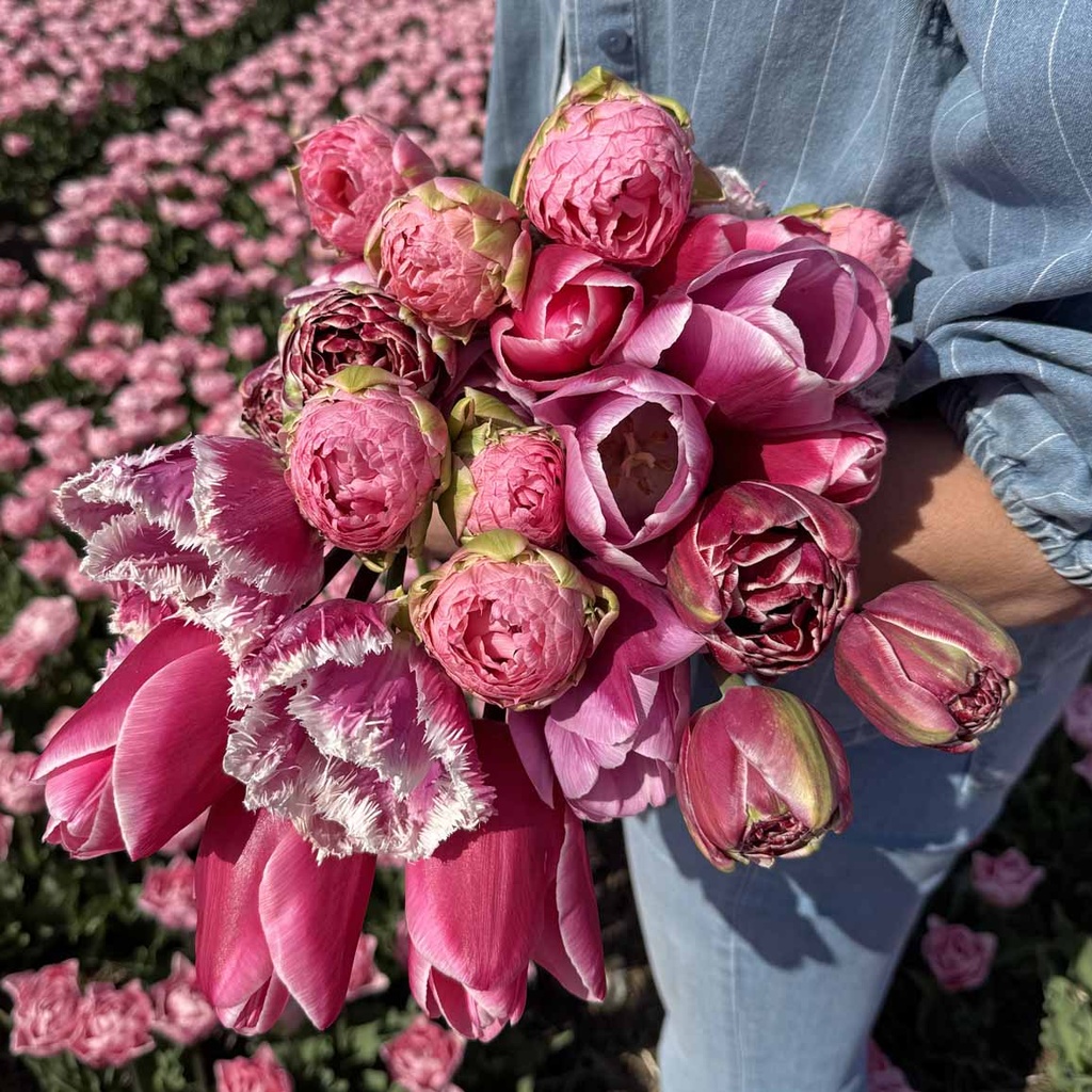 Mix Pretty in Pink (50 st.)
