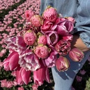 Mix Pretty in Pink (50 st.)