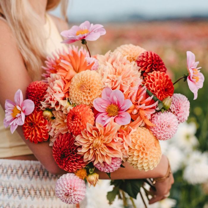 Mix Blooming Happiness (5 dahlien)