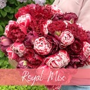 Mix Royal (30 Stück)