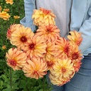 Irish Pinwheel