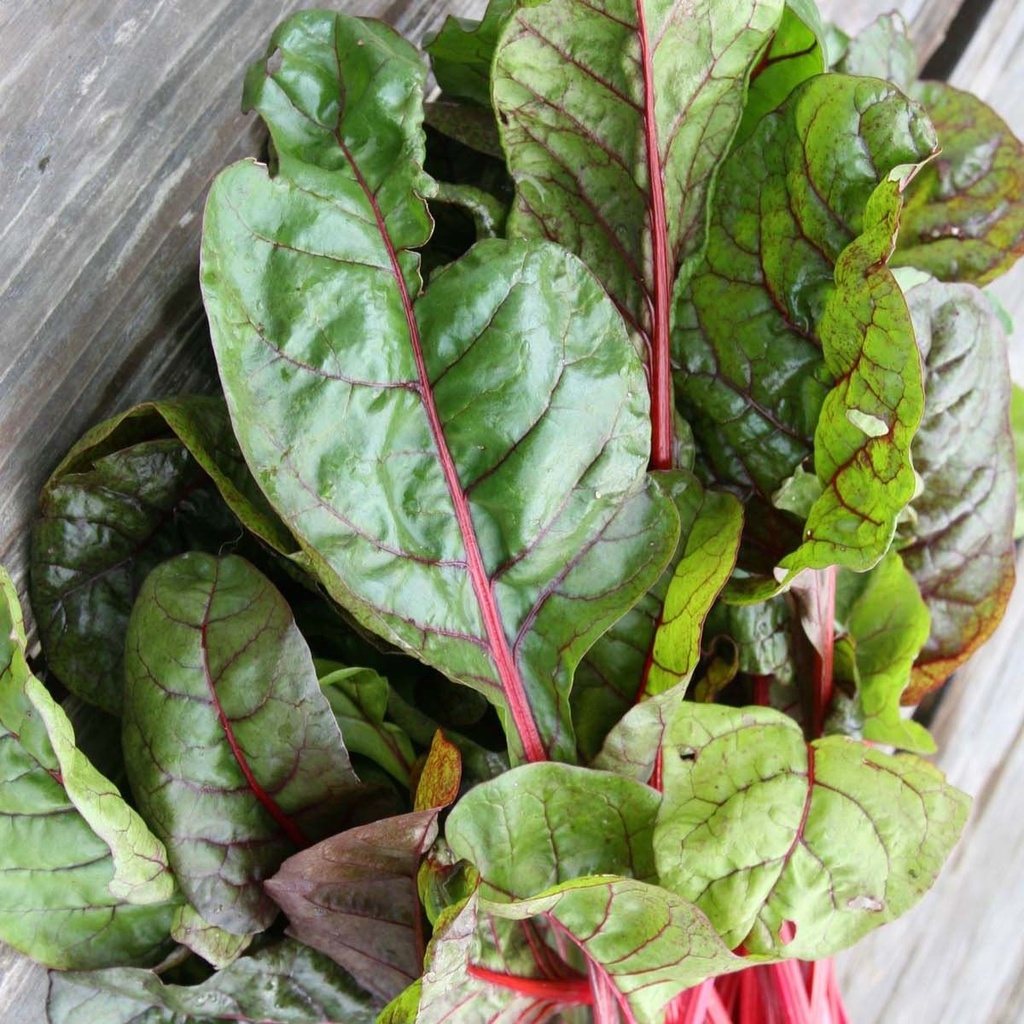 Swiss Chard Rhubarb Chard