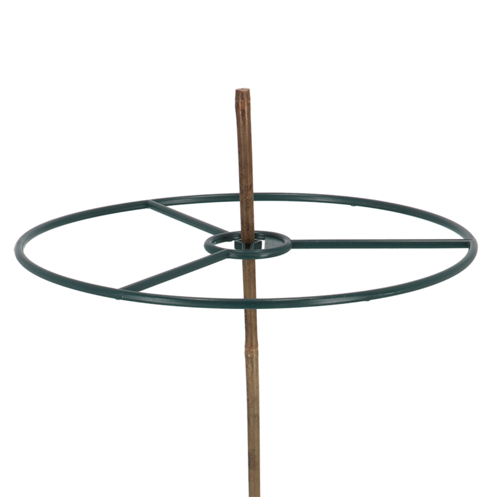 Plant ring bamboo sticks set of 2