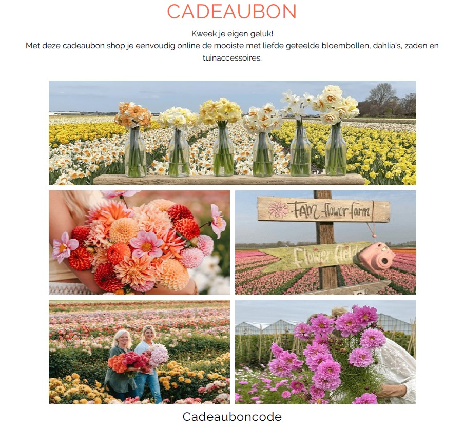 Geschenkgutschein digital