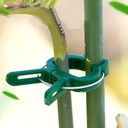 Pflanzenclips – 10 Stück