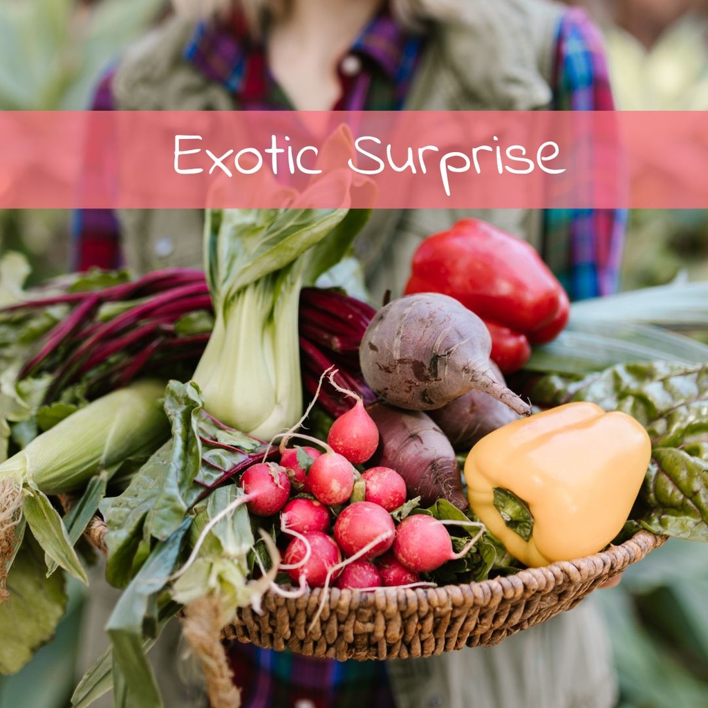 Exotic Surprise (9 varieties)