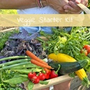 Veggie Starter Kit (10 varieties)
