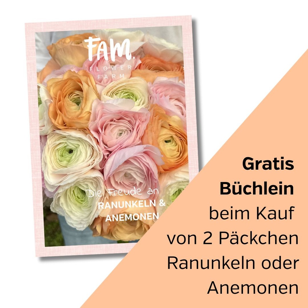 Büchlein Liebe für Ranunkeln & Anemonen