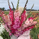 Mix Pink Parade (5 zakjes)