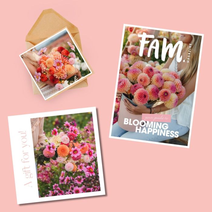 Geschenkgutschein per Post