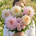 Mix Soft Pink by HouseNo1 (6 dahlias)