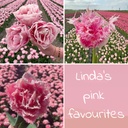 Linda's pink favourites