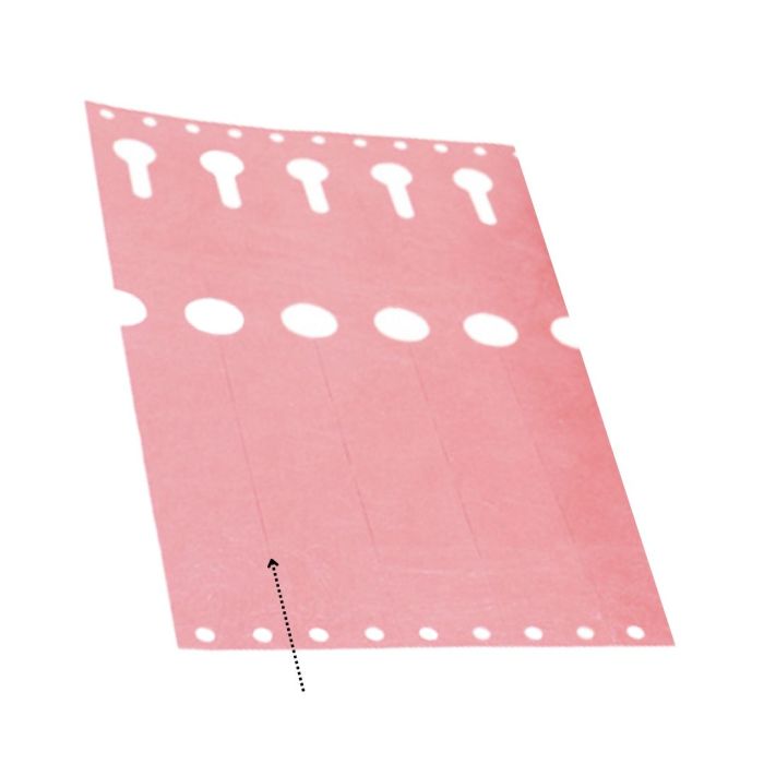 Dahlien-Etiketten Tyvek 12 Stück