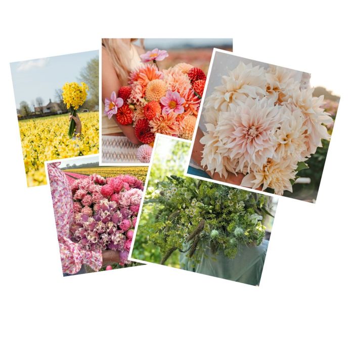 Set mit 5 Grußkarten