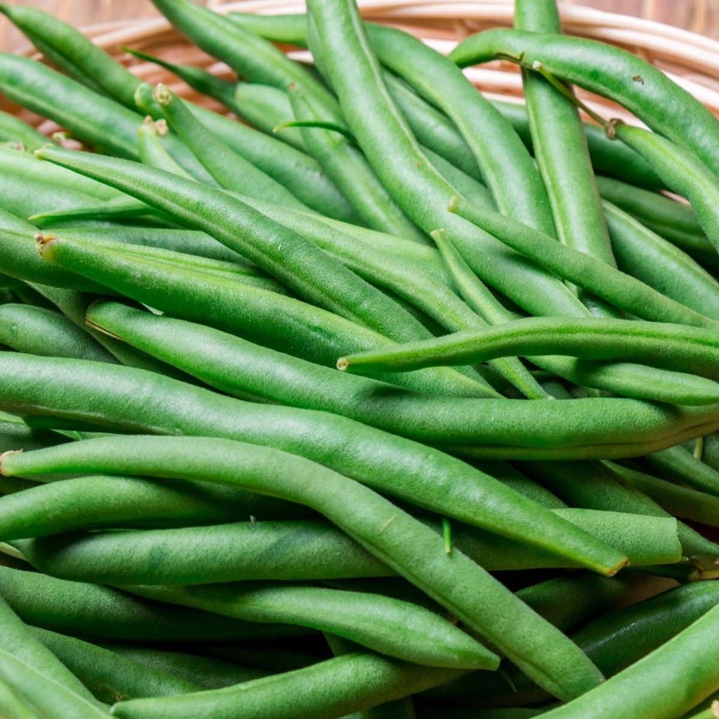 Grüne Bohne Prelude