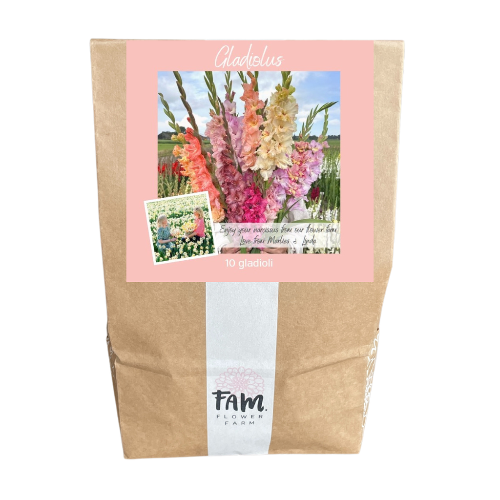 Kostenlos: 1 Mix-Tüte mit 10 Gladiolenzwiebeln